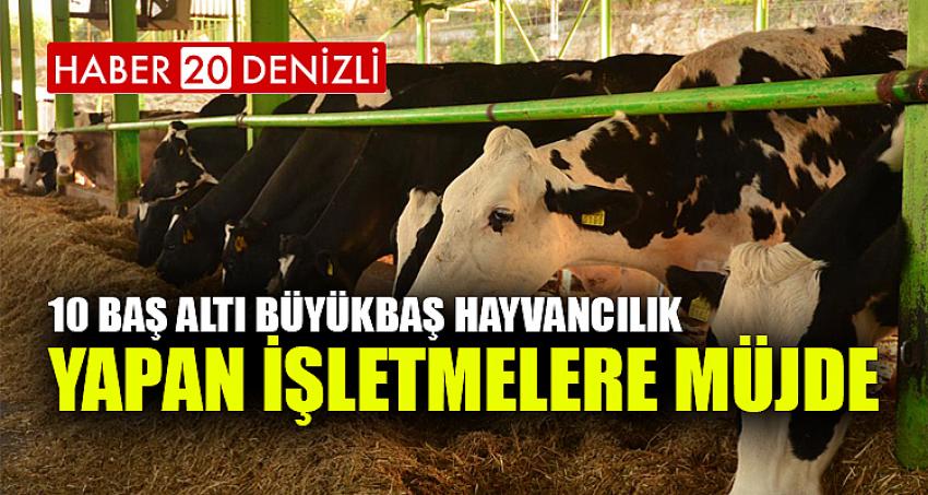 DÜVE ALIM DESTEĞİ