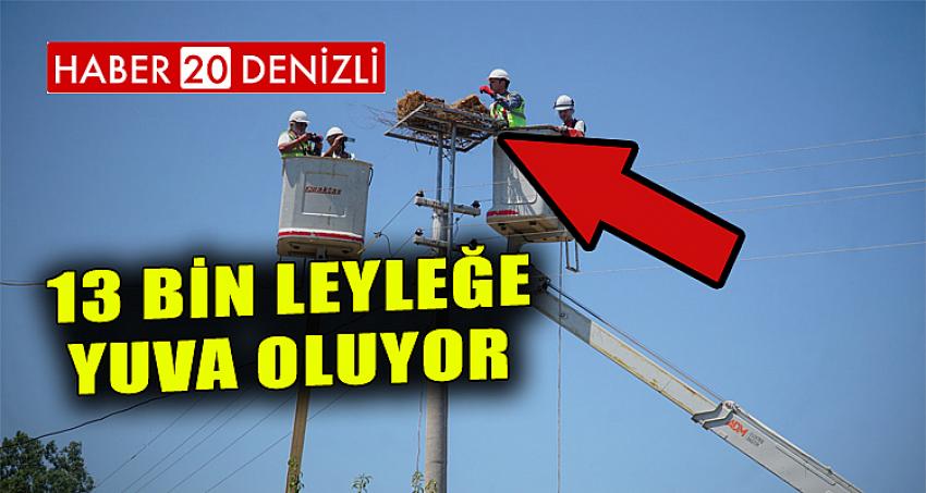 13 bin leyleğe yuva oluyor