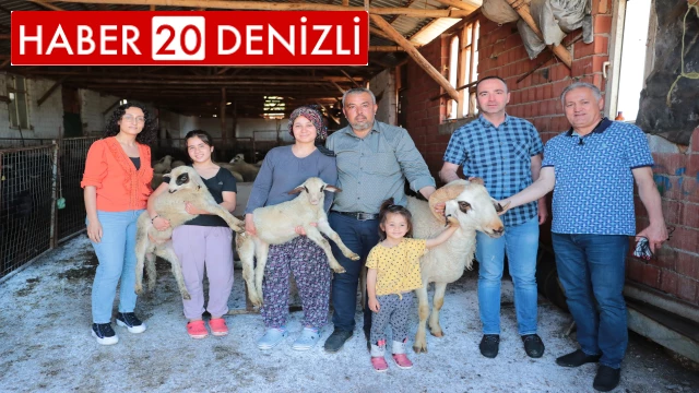 200 aileye 400 adet damızlık koç ve teke hibe edildi