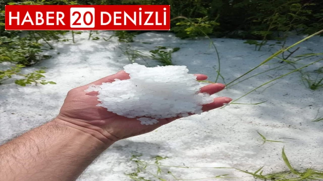 Denizli'de kekik ve adaçayı üretimi yağışlardan olumsuz etkilendi