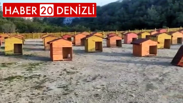 Can dostlar yeni yuvalarına kavuşuyor