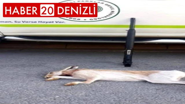 Avlanmaya kapatılan alanda iki kaçak avcı yakalandı