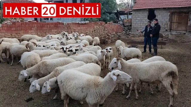 Acıpayam’ın 11 mahallesi çiçek karantinasına alındı