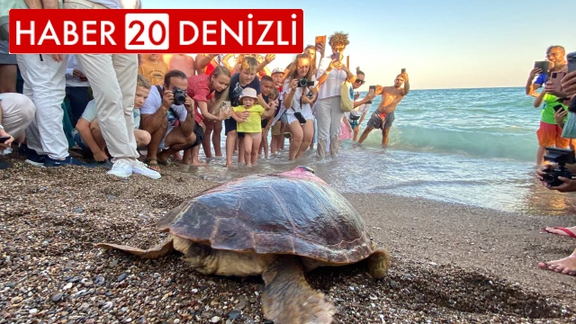 Caretta Caretta ‘Lara Barış’ 1,5 yılda 4 bin kilometre yol kat etti