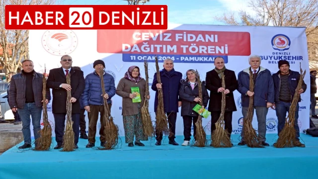 Denizli, Türkiye'nin ceviz üretim merkezi olma yolunda ilerliyor