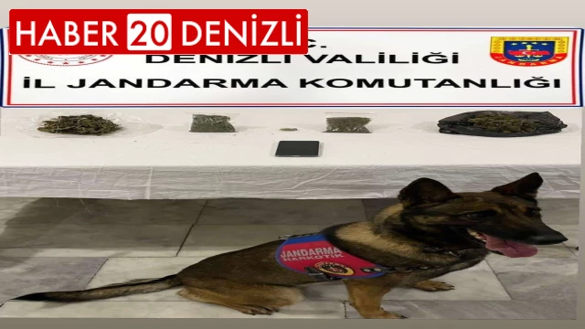 Denizli jandarması uyuşturucu tacirleri ve kaçakçılara göz açtırmıyor