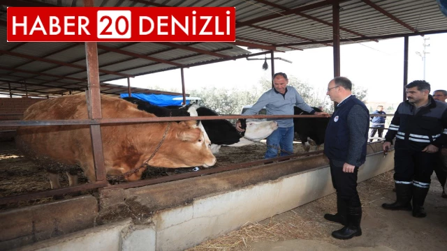 Pamukkale’de 60 bin hayvan ücretsiz aşılanacak