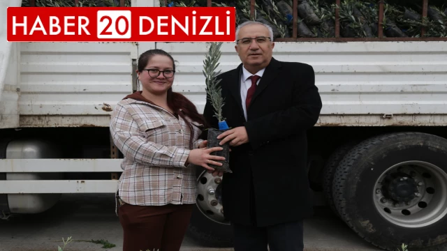 Çamelili çiftçilere 5 bin adet zeytin fidanı dağıtıldı