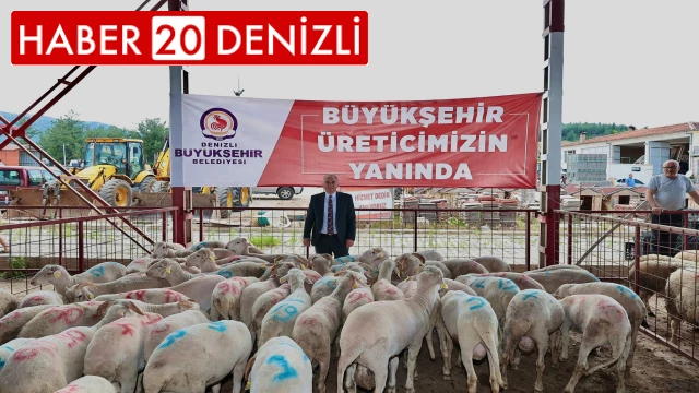 Denizli’de 321 çiftçiye 600 adet damızlık koç ve teke hibe desteği başladı