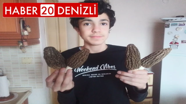 Kuzugöbeğinde sezon erken başladı