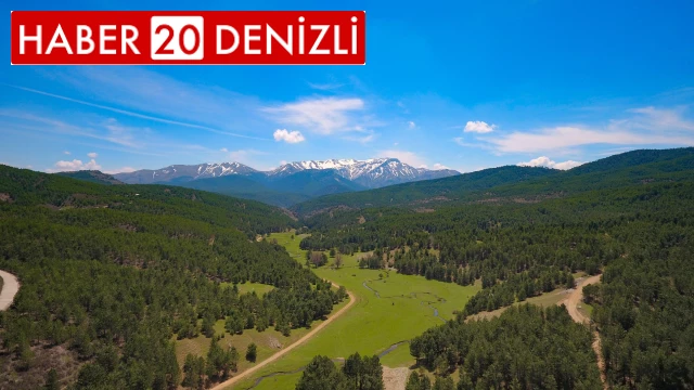 Denizli’de 813 hektarlık 24 adet bal ormanı arıcılara hizmet veriyor