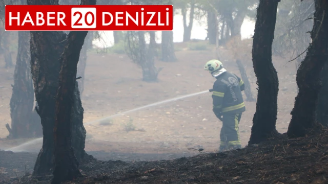 Denizli'de piknik ateşi yangına yol açtı