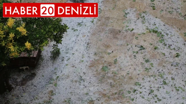 Dolu yağışı meyve ağaçları ve ekili arazilere zarar verdi