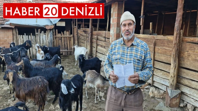 Keçilerini otlatırken şiir yazıp, türkü besteliyor