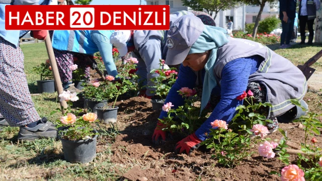 Pamukkale’de bahar bakımı yapılıyor