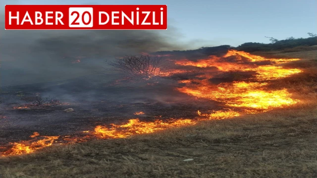 Buldan’da orman yangını büyümeden söndürüldü