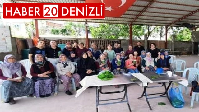 Çal yaprağı altın gibi saklanacak