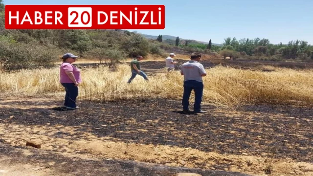 Çal'daki yangının ardından zarar tespit çalışmalarına başlandı