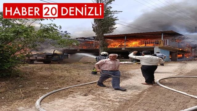 Denizli'de 2 katlı bina yangında kül oldu