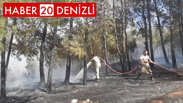 Denizli'de orman yangını kısa sürede kontrol altına alındı