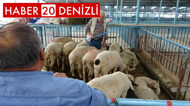 Şap hastalığı nedeniyle kapatılan hayvan pazarı Kurban Bayramı için tekrar açılıyor