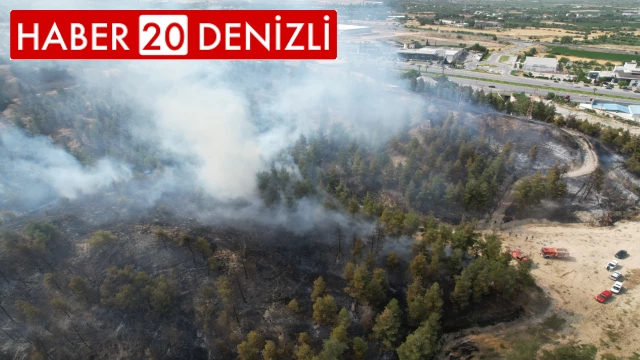 Yaklaşık 30 hektar alanın zarar gördüğü 2 ayrı yangınla ilgili olarak 3 şüpheli gözaltına alındı