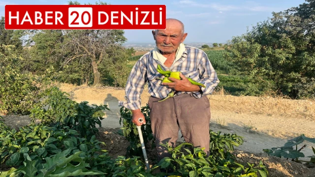 88 yaşında üretmeye devam ediyor