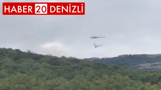 Başkarcı Dağında yıldırım düşmesi sonucu çıkan orman yangını söndürüldü