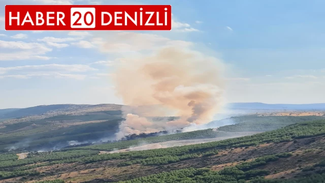 Çivril’in ciğerleri yanıyor