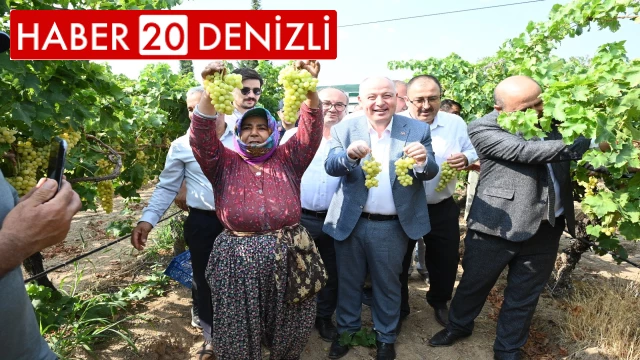 Denizli'de üzüm hasadı başladı