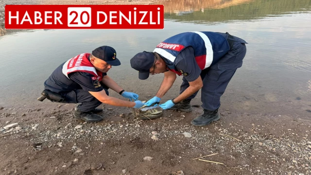 Jandarma küçük balık avlayan 7 kişiye 18 bin lira ceza kesti