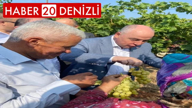 Vali Coşkun bağdan üzüm hasadı yaptı