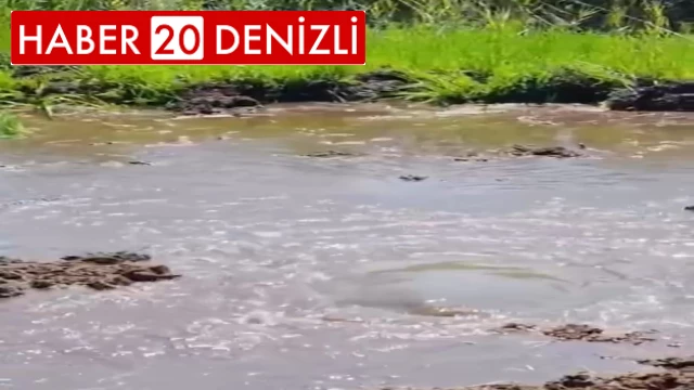 Buldan Yayla Gölünde temizleme çalışmaları esnasında su kaynağı bulundu