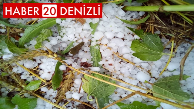 Çameli’nde şiddetli dolu ekili arazilere zarar verdi