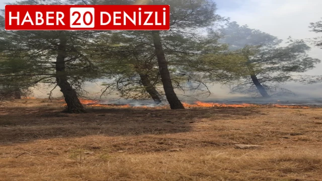 Denizli’de orman yangınına havadan ve karadan müdahale ediliyor