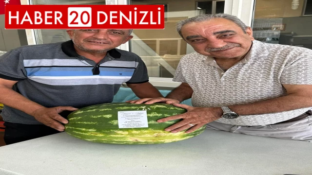 Ürettiği karpuz tarlada kalınca düğün davetiyesi olarak kullandı