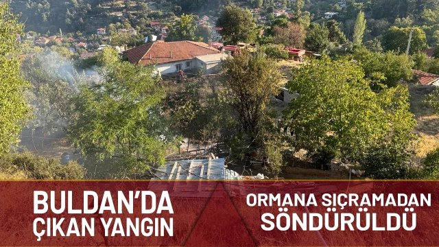 Denizli’de çıkan yangın ormana sıçramadan söndürüldü