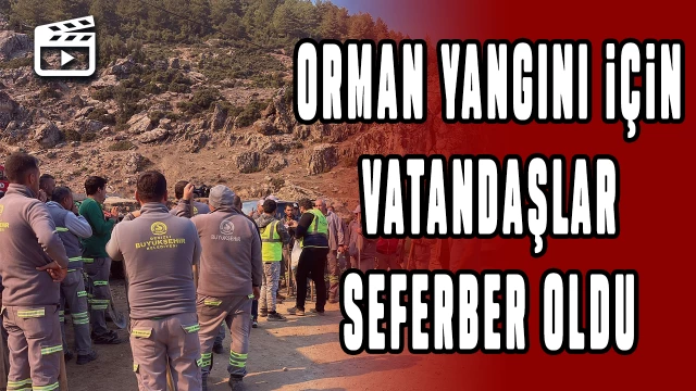 Denizli'deki orman yangınını söndürmek için vatandaşlar seferber oldu