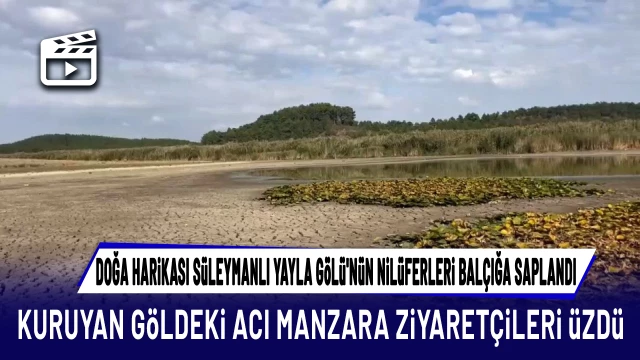 Doğa harikası Süleymanlı Yayla Gölü'nün nilüferleri balçığa saplandı