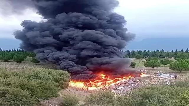 TUTUŞTURULAN KAÇAK ATIKLAR AZ DAHA ORMANI YAKIYORDU