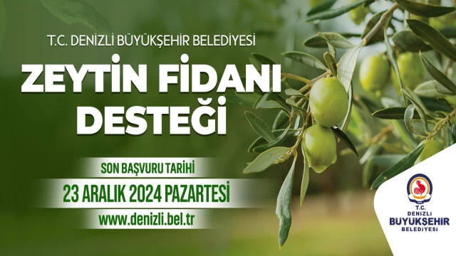 Zeytin fidanı desteği başvuru süresi uzatıldı