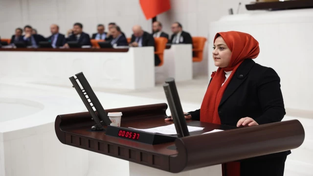 Milletvekili Ün: "Atanmış kişilere bu derece yetki tanınması siyasi suistimallere neden olabilir"