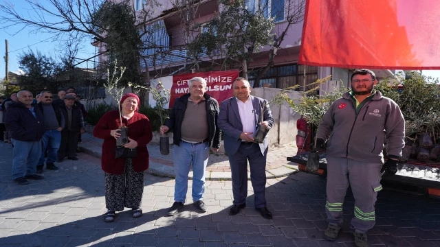 Denizli Büyükşehirden zeytin fidanı seferberliği