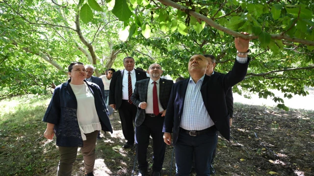 TBMM Zirai Don Araştırma Komisyonu Çivril'de meyve bahçelerini inceledi