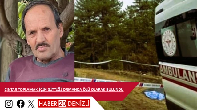 Çıntar toplamak için gittiği ormanda ölü olarak bulundu