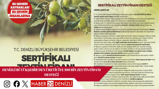 Denizli Büyükşehir’den üreticiye 100 bin zeytin fidanı desteği
