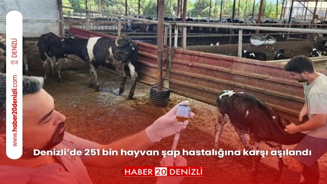 Denizli’de 251 bin hayvan şap hastalığına karşı aşılandı