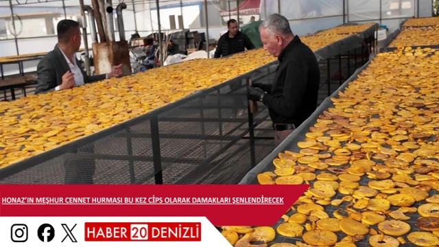 Honaz’ın meşhur cennet hurması bu kez cips olarak damakları şenlendirecek
