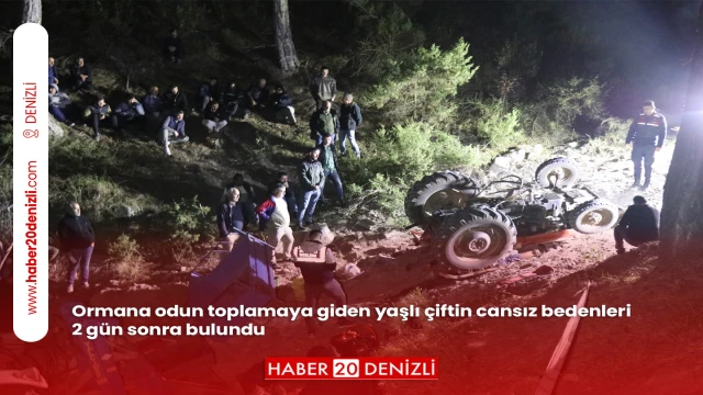 Ormana odun toplamaya giden yaşlı çiftin cansız bedenleri 2 gün sonra bulundu