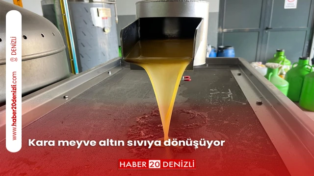 Kara meyve altın sıvıya dönüşüyor